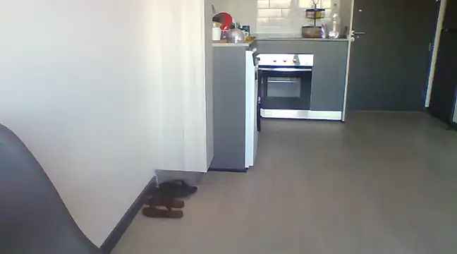 tu la humilde online show from 02-06-25, 11:15