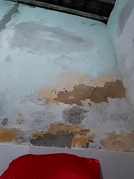 shuelldin online show from 10-29-25, 02:47