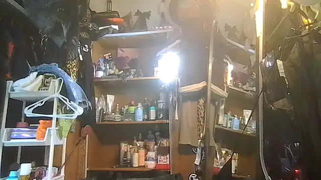 ShysluutGia online show from 01-31-26, 10:08