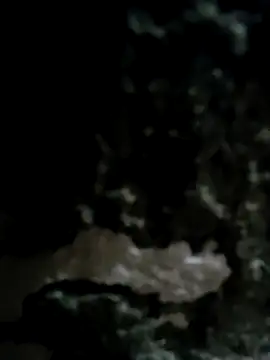 iamriturani online show from 02-11-25, 11:10