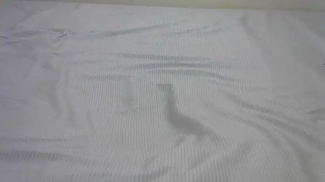 SweetTeaseX online show from 02-13-25, 04:50