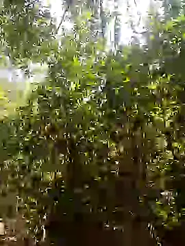 Snapshot of Pussy-Hairy-Horny chatting on 02-16-25, 06:54 Pussy-Hairy-Horny online show from 02-16-25, 06:54