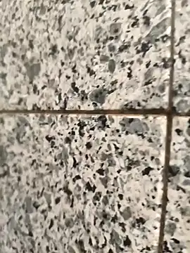 henri69 online show from 02-24-26, 02:42