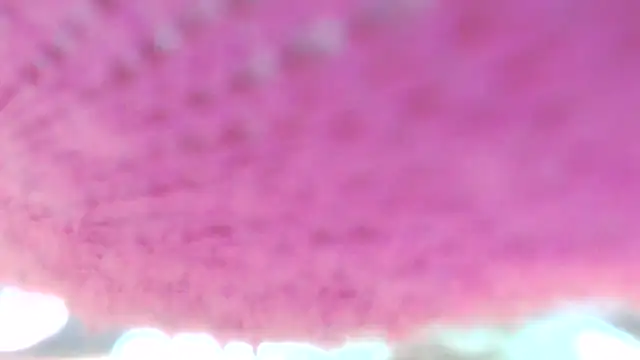 Sweetieanalxxx online show from 04-05-26, 12:30