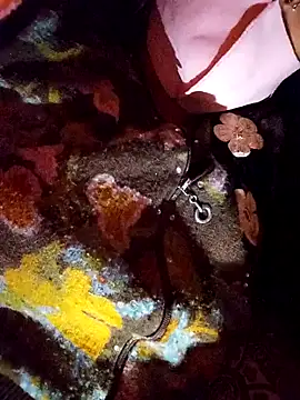 PPP 25 online show from 11-14-25, 01:54