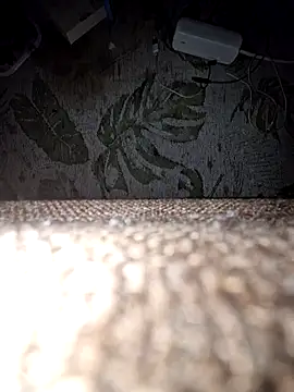 Snapshot of DerechteJunge chatting on 12-13-25, 11:43 DerechteJunge online show from 12-13-25, 11:43