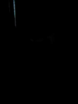 Ruanie online show from 04-13-26, 07:03