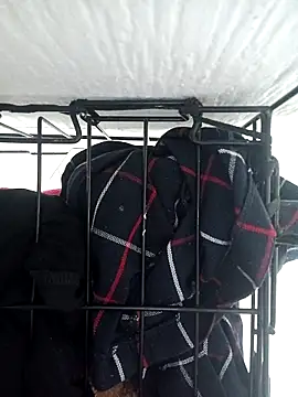 emily envivo010 online show from 03-10-25, 08:01