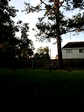 HTXBELLE online show from 09-13-25, 11:59