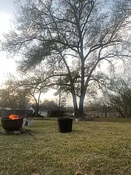 HTXBELLE online show from 01-05-26, 11:19