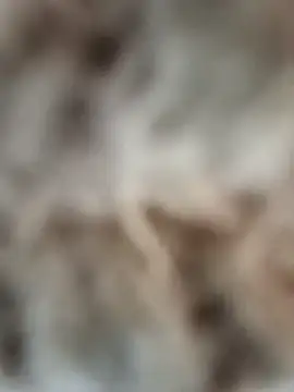 mauroxx08 online show from 04-05-26, 03:20