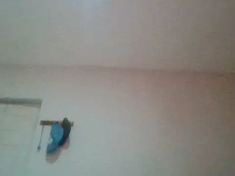 Snapshot of bafeng chatting on 07-24-26, 09:40 bafeng online show from 07-24-26, 09:40