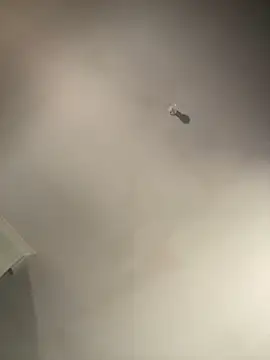 1Zoey101 online show from 02-02-26, 01:37