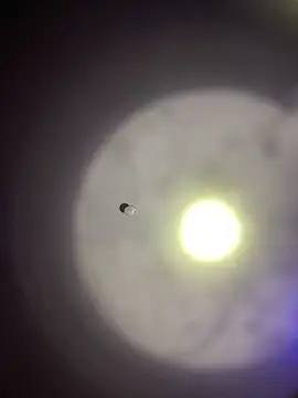 1Zoey101 online show from 03-30-26, 09:16