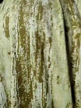 Snapshot of mens_weakness chatting on 11-02-25, 06:49 mens weakness online show from 11-02-25, 06:49