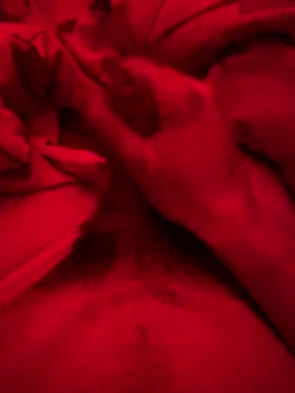 Snapshot of ruchacz24 chatting on 03-06-25, 02:51 ruchacz24 online show from 03-06-25, 02:51