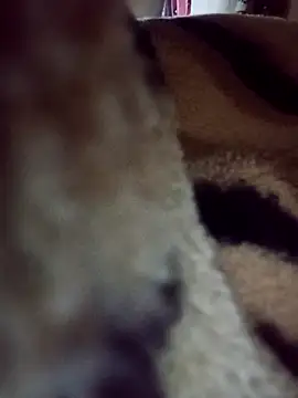 Snapshot of karabokau21 chatting on 09-26-25, 10:25 karabokau21 online show from 09-26-25, 10:25