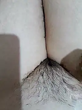 yakot7 online show from 04-19-26, 10:45