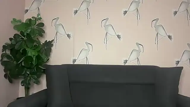 Snapshot of Pleasing-Chloe49 chatting on 06-01-26, 05:09 Pleasing-Chloe49 online show from 06-01-26, 05:09