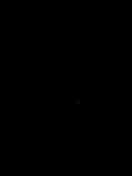 papicook online show from 05-06-26, 04:41
