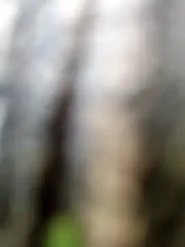 Snapshot of himvilohi08 chatting on 06-16-26, 05:21 himvilohi08 online show from 06-16-26, 05:21