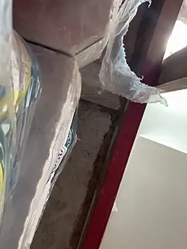 Snapshot of wainer02 chatting on 03-11-25, 01:12 wainer02 online show from 03-11-25, 01:12