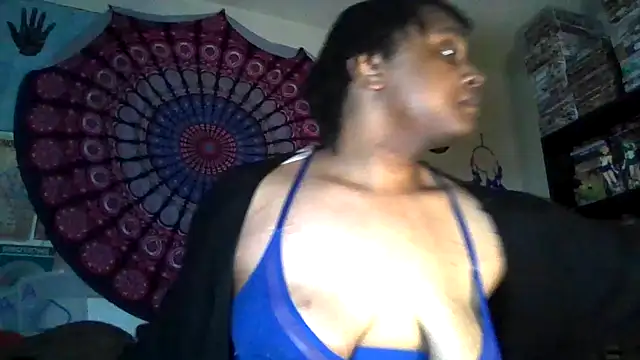 GardeniaFields online show from 04-02-26, 11:30