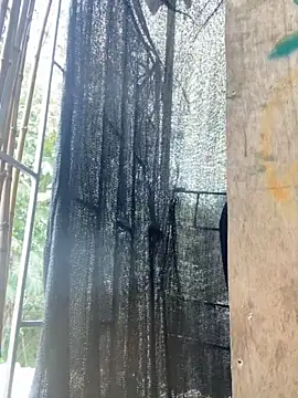 val zx online show from 03-27-26, 05:56