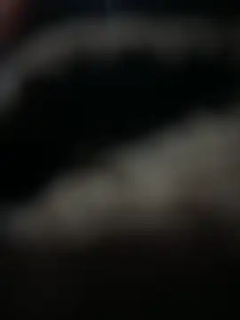 Snapshot of HARSHHU01 chatting on 03-17-25, 03:07 HARSHHU01 online show from 03-17-25, 03:07