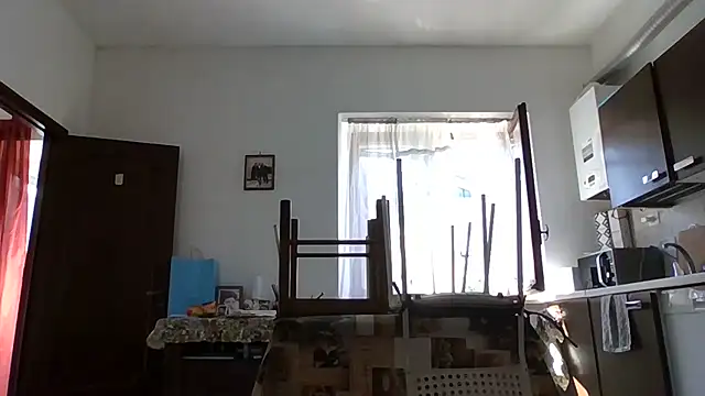Snapshot of maxxxio12 chatting on 04-25-26, 10:29 maxxxio12 online show from 04-25-26, 10:29