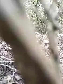 Snapshot of CertifiedSatisfier chatting on 11-12-25, 10:37 CertifiedSatisfier online show from 11-12-25, 10:37