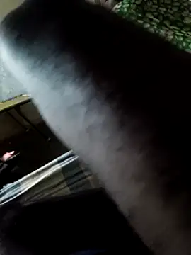 Snapshot of PolarFriend0 chatting on 02-14-26, 04:37 PolarFriend0 online show from 02-14-26, 04:37