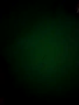 Snapshot of Ayeshaji chatting on 05-03-26, 07:31 Ayeshaji online show from 05-03-26, 07:31