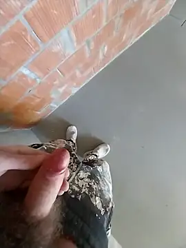 Snapshot of MaksDzubaV chatting on 03-07-26, 11:18 MaksDzubaV online show from 03-07-26, 11:18