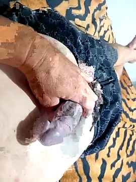 Snapshot of Dglo0000 chatting on 11-30-25, 08:51 Dglo0000 online show from 11-30-25, 08:51