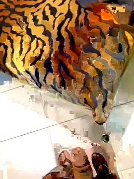 Snapshot of Dglo0000 chatting on 02-28-26, 04:46 Dglo0000 online show from 02-28-26, 04:46