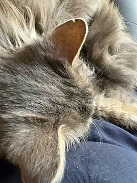 Max 965 online show from 03-30-26, 10:27