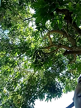 Snapshot of perversumm chatting on 09-21-25, 04:19 perversumm online show from 09-21-25, 04:19