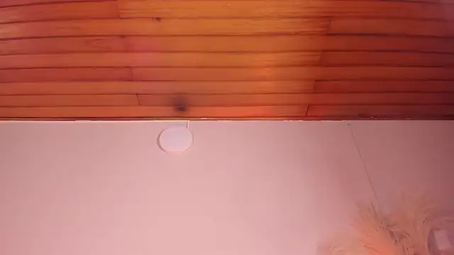 Snapshot of viol_collins__ chatting on 03-22-25, 12:14 viol collins online show from 03-22-25, 12:14