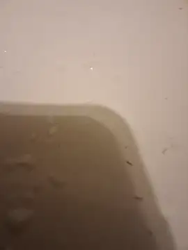 Snapshot of moasslicker chatting on 10-21-25, 04:46 moasslicker online show from 10-21-25, 04:46