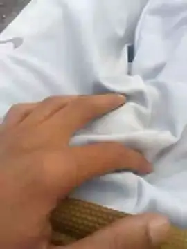 tiibcstuj online show from 02-14-26, 12:13