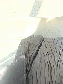 xiaoyuan01 online show from 01-09-26, 02:25