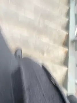 xiaoyuan01 online show from 03-15-26, 12:49