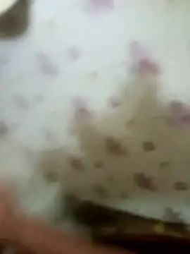 zim200 online show from 04-12-26, 05:56