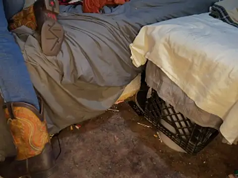 HodgeVibes online show from 03-01-26, 02:13