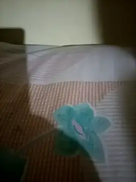 Snapshot of Nishi-2 chatting on 09-25-25, 01:48 Nishi-2 online show from 09-25-25, 01:48