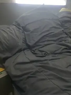 pophiboy online show from 11-15-25, 03:52