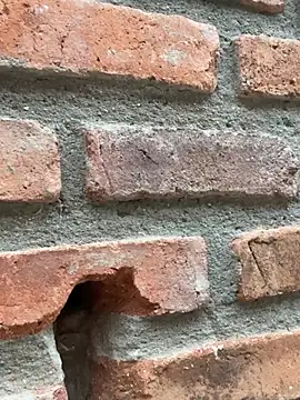 Snapshot of Jacksonfranco chatting on 02-11-26, 10:59 Jacksonfranco online show from 02-11-26, 10:59