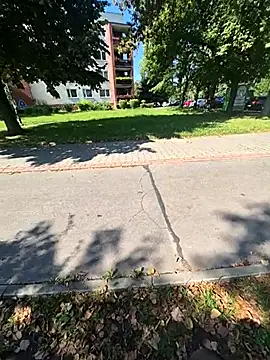 SexNiewolnik69 online show from 09-12-25, 10:15