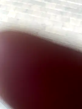 Snapshot of kamo012000 chatting on 10-09-25, 02:37 kamo012000 online show from 10-09-25, 02:37